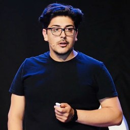 Ramin Hasani